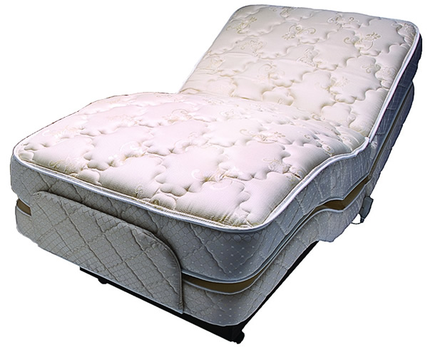 Flex-A-Bed Premier