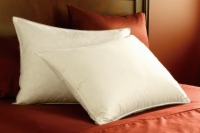 Pacific Coast&reg; Eurofeather&trade; Pillow