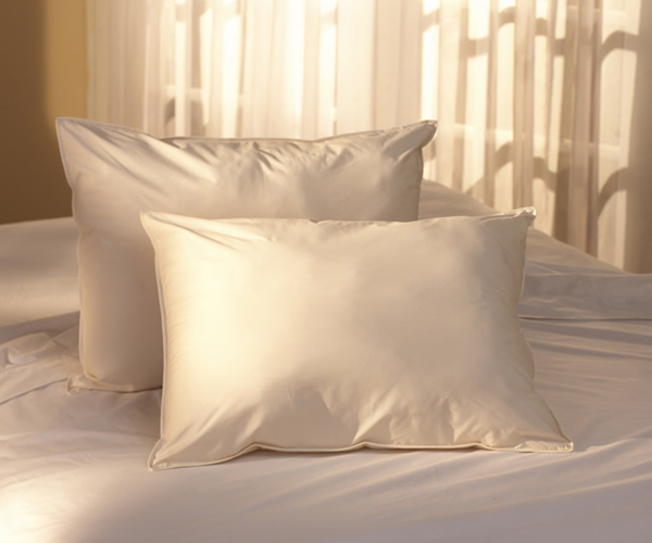 Natural Living® Extra Loft Pillow
