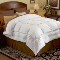 Pacific Coast&reg; Stratus Down&trade; Comforter