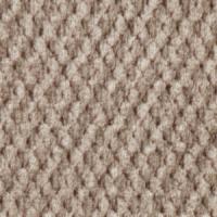 Champagne SofTouch Fabric