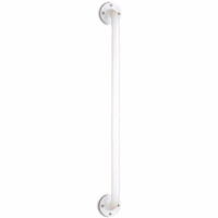 24" Wall Grab Bar - White Powder Coating