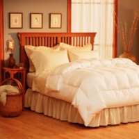 Pacific Coast&reg; Light Warmth Down Comforter